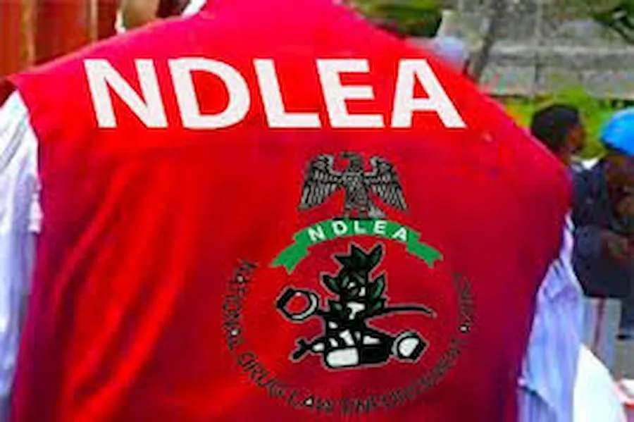 NAFDAC shortlisted candidates