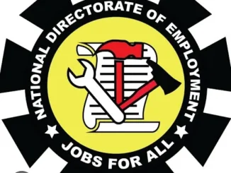 FG Opens Applications for NDE Renewed Hope Employment Initiative
