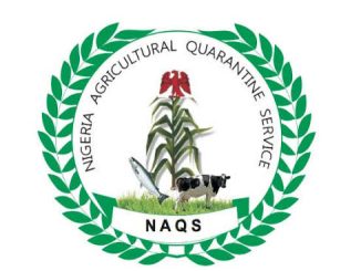 NAQS Salary Structure