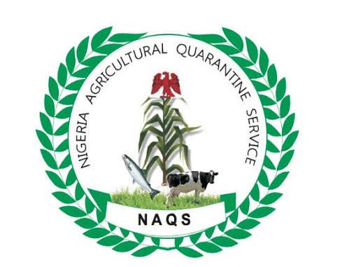 NAQS Salary Structure