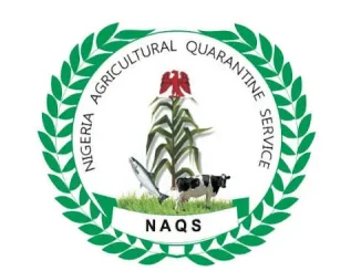 NAQS Shortlisted Candidates